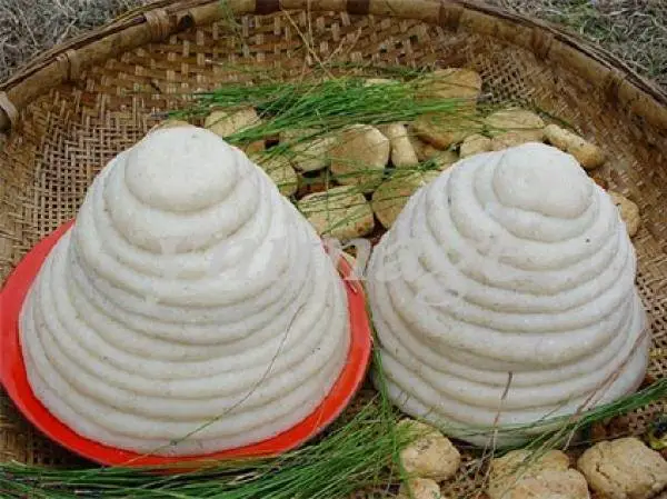 他留人传统种植方式：撒水秧，你听说过吗？  第7张