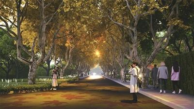紧邻西湖的曙光路启动提升改造，打造城市漫步生活街区，你期待吗？  第6张