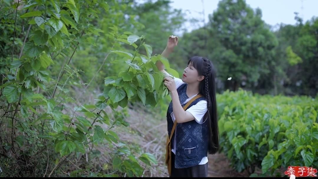 李子柒再更新，绒花蜀锦裙弹唱如愿，非遗之美与现代美学的精妙融合  第7张