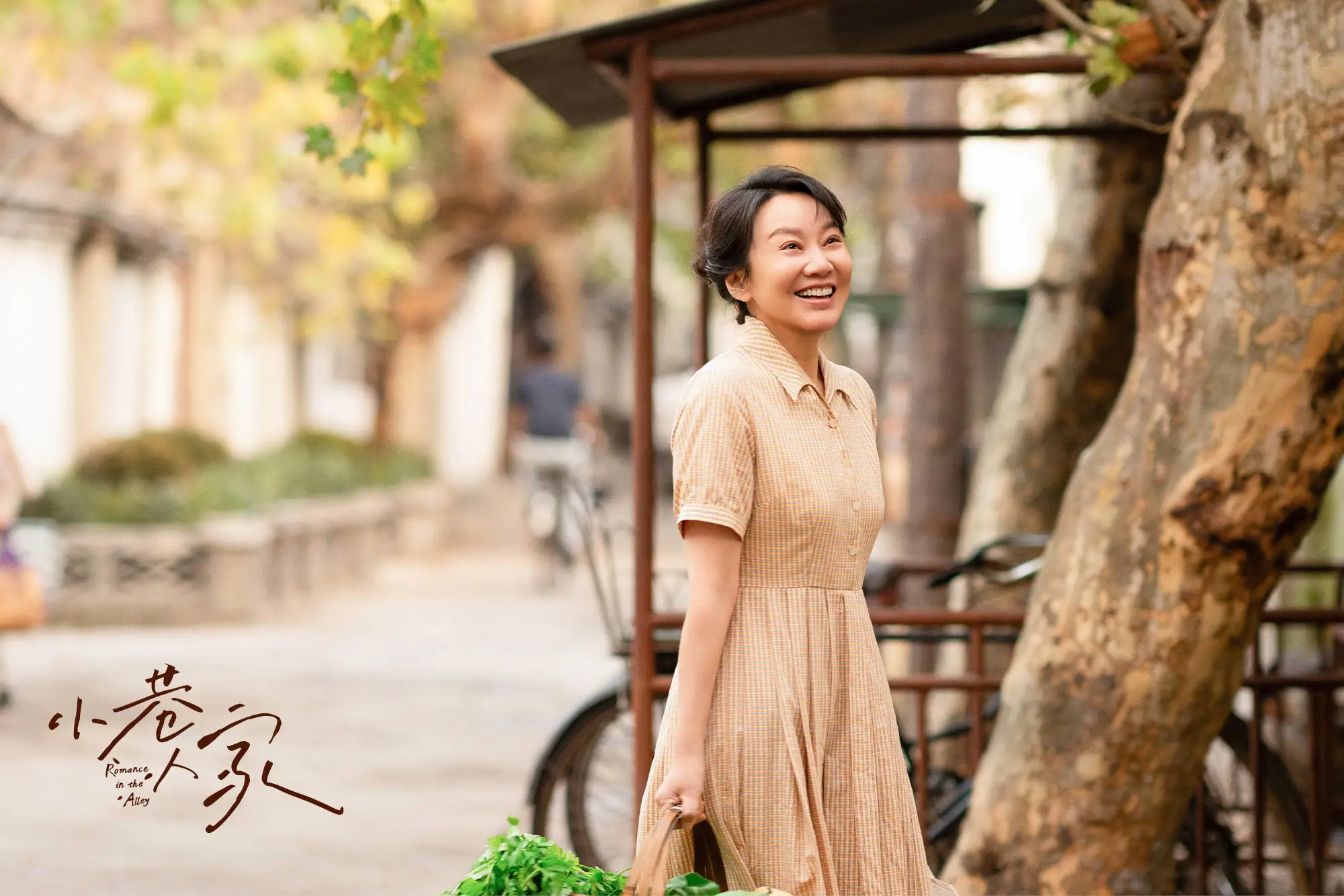 小巷人家闫妮演绎外柔内刚女性，直面家庭矛盾困境  第7张