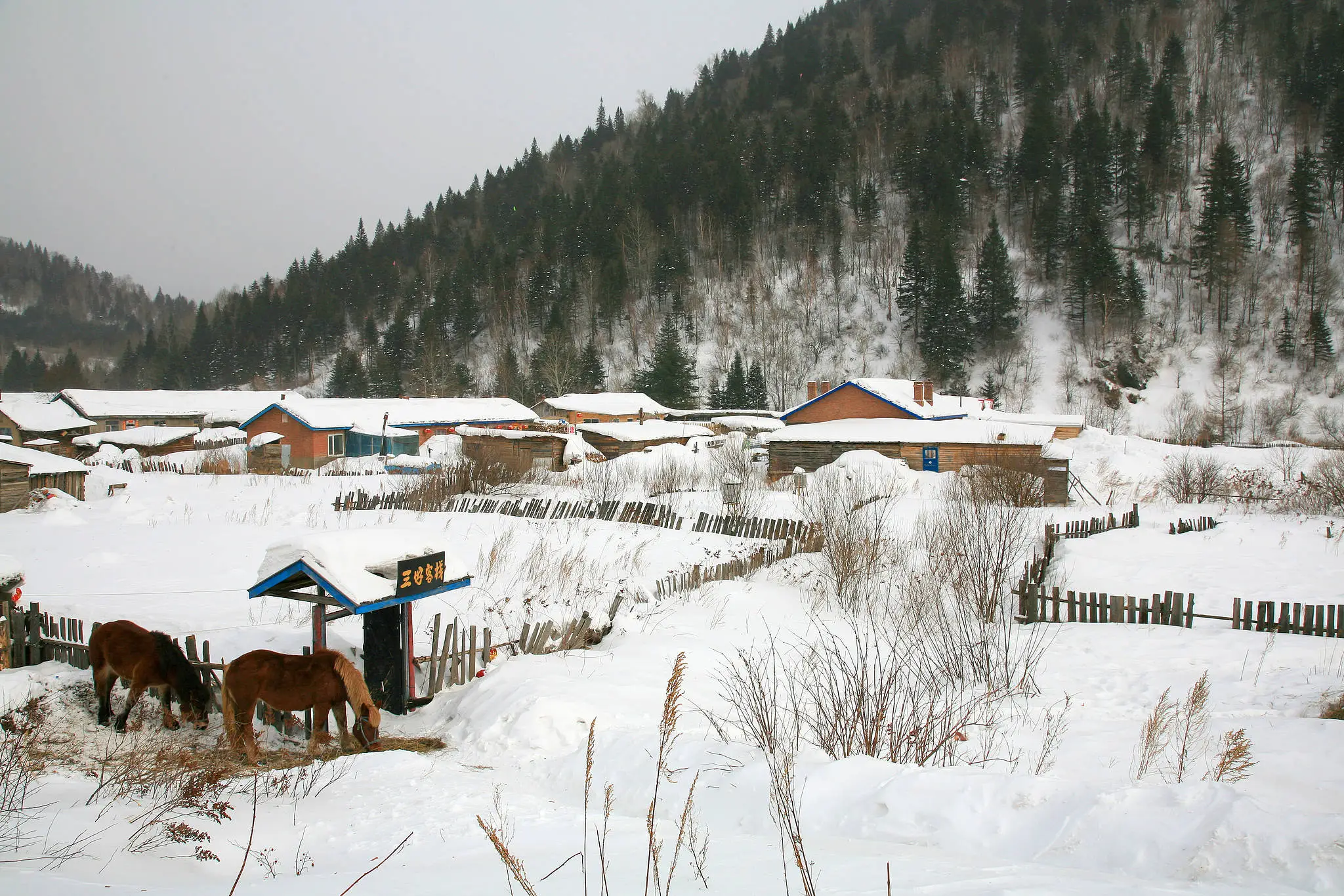 牡丹江市委书记张国军强调要全力抓好雪乡景区监督管理工作