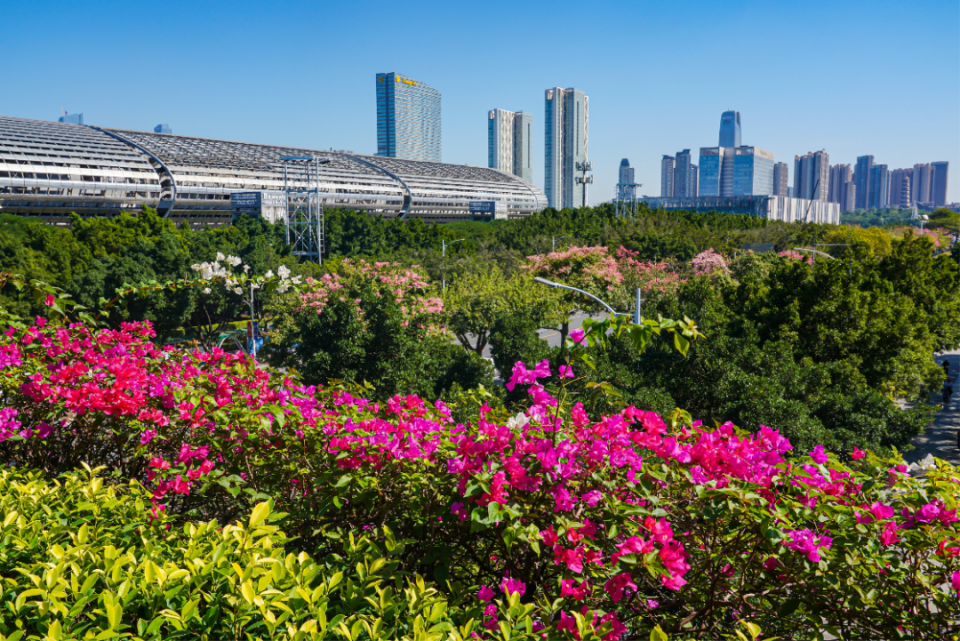 北方多地已入冬，广东却还在夏天！广州入秋时间成悬念  第4张