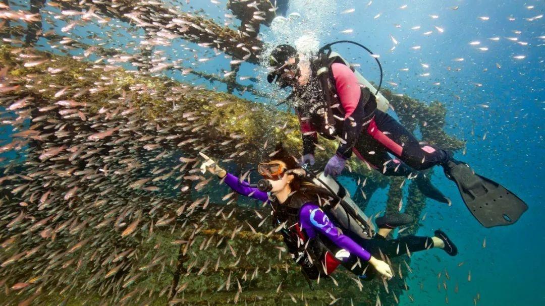 三亚之美，从何夸起？大海、阳光、椰林，这里全都有  第11张