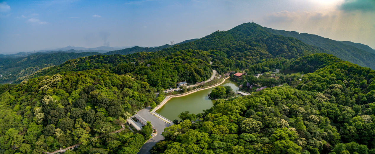 广州帽峰山国家 4A 级旅游景区揭牌，你去过吗？  第3张