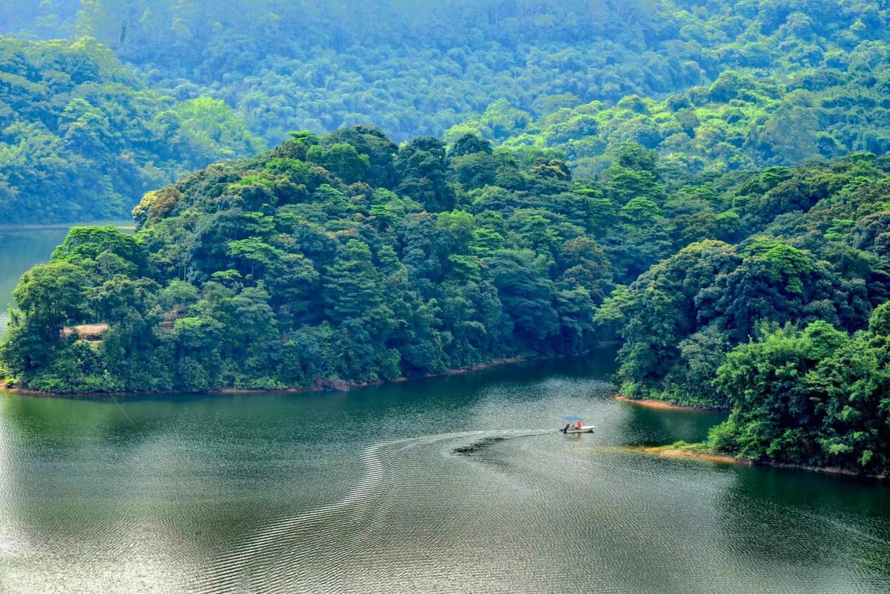 广州帽峰山国家 4A 级旅游景区揭牌，你去过吗？  第4张
