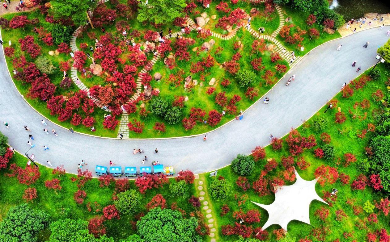 广州帽峰山国家 4A 级旅游景区揭牌，你去过吗？  第5张