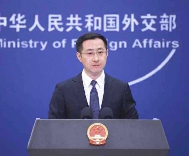 秘鲁羊驼玩偶成进博会人气王，背后原因竟然是……  第1张