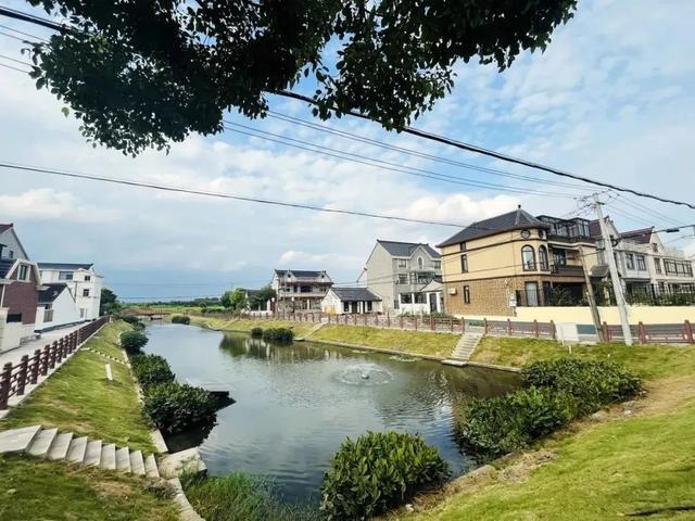 浦江镇打造人水和谐环境，让你感受前所未有的幸福感  第3张