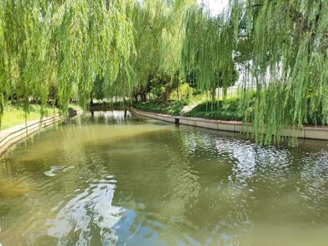 浦江镇打造人水和谐环境，让你感受前所未有的幸福感  第8张