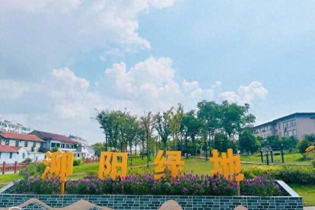 探索基层治理新路径，看朱家角镇沈巷社区如何打造温馨家园  第1张