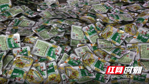 探秘湖南蔬益园食品有限公司，感受东盟·湖南（永州）名优产品交易会的火热氛围  第2张