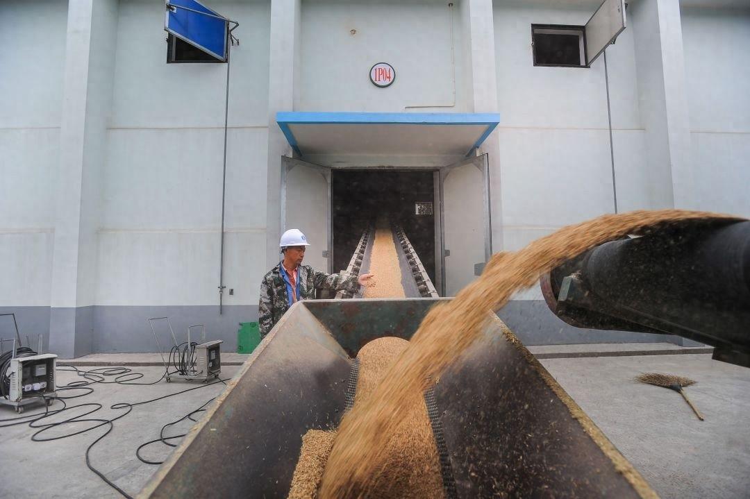 湖州启动市本级 2024 年晚稻谷最低收购价执行预案，你关心的都在这里  第1张