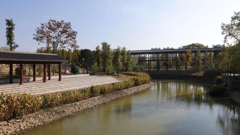 从荒滩到新名片，永新生态湿地公园的华丽变身  第2张