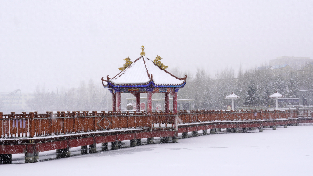 -19℃至-21℃！青河县将迎大到暴雪，气温骤降，你准备好了吗？  第1张