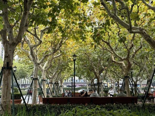 晴暖天气将持续,明天最高气温将达近期最高点 第2张 晴暖天气将持续,明天最高气温将达近期最高点 第2张