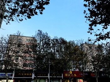 青岛即将迎来雨雪天气，1厘米积雪或将导致道路结冰，市民需提前防范  第1张