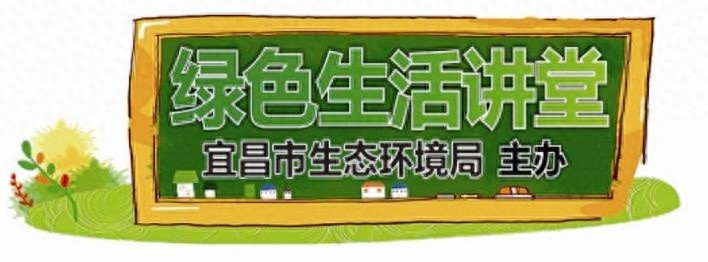 垃圾分类新规来袭！这些可回收资源你都知道吗？别再乱扔了