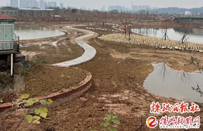 惊！株洲枫溪湿地项目即将完工，市民翘首以盼的生态奇迹即将揭晓  第1张