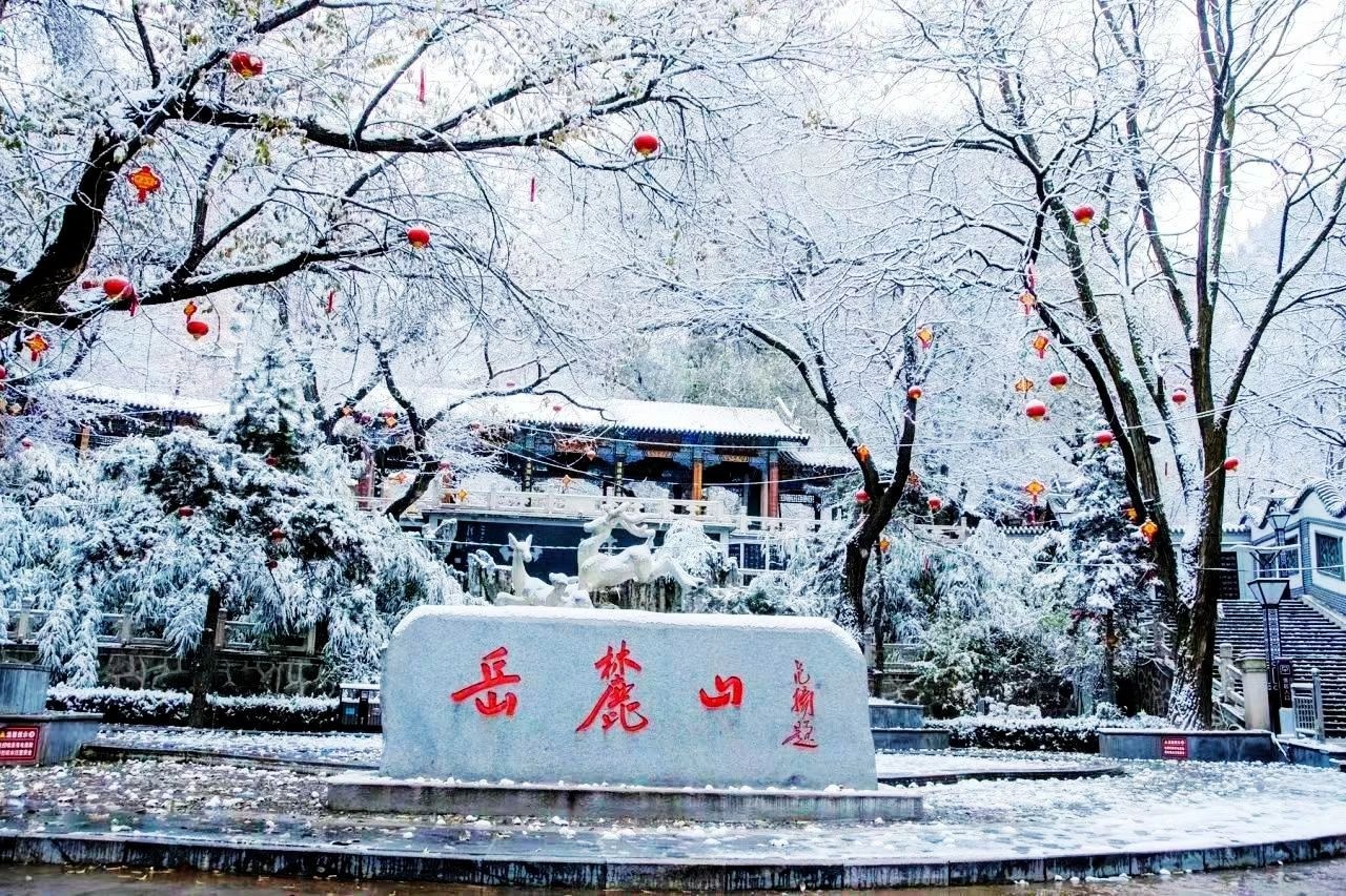 岳麓山景区大变样！三年投资超千万，冬雪中的美景让人惊艳  第7张