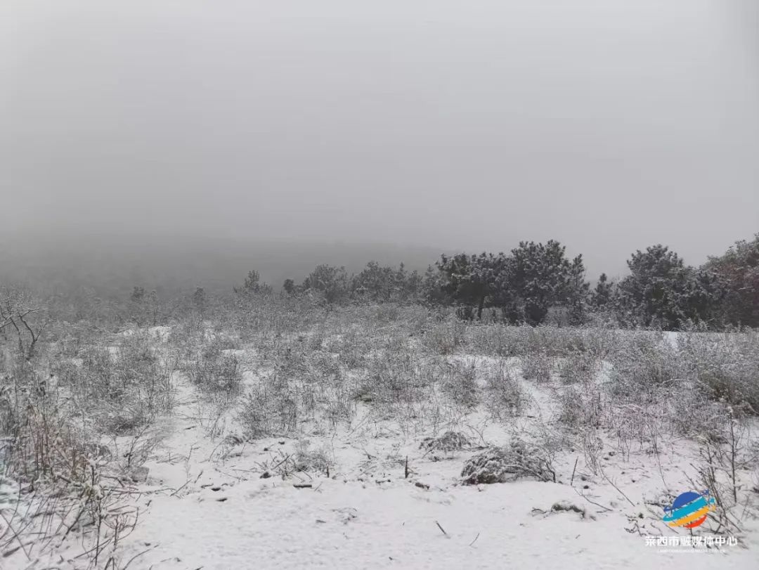 莱西今早的雪，你看到了吗？局部降雪引发朋友圈热议，道路结冰预警发布  第2张