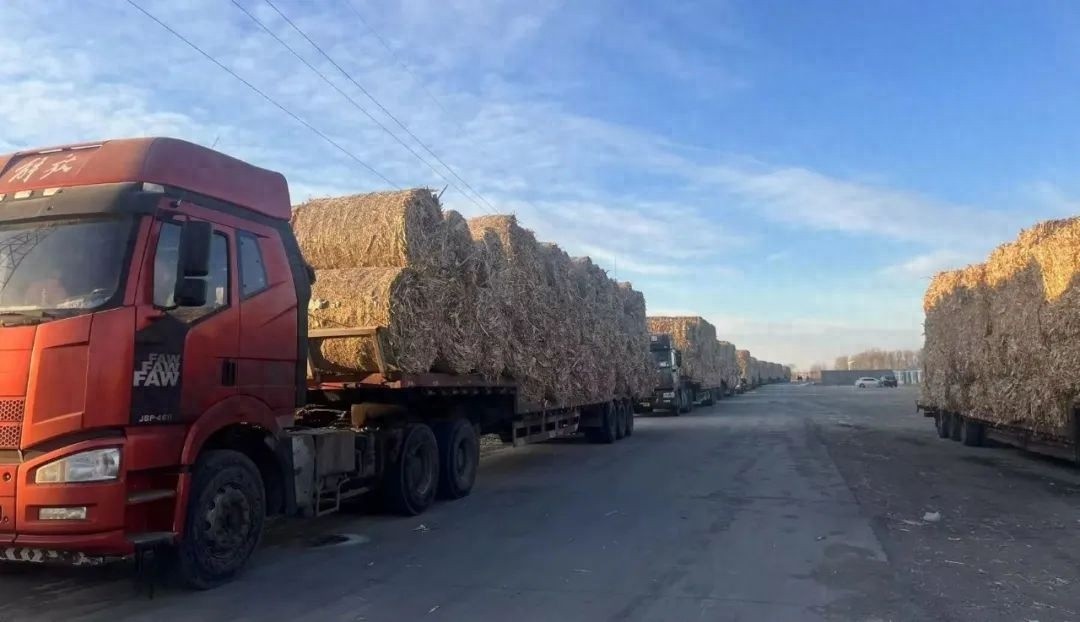 秸秆变电能：一场悄然进行的绿色革命，你不可不知的未来能源