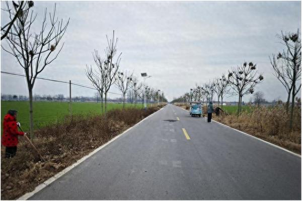 涡阳县石弓镇路肩清理行动：美化乡村环境，提升交通安全，助力乡村振兴  第1张