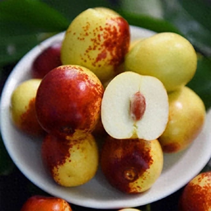 冬枣上市季，营养与养生全攻略：如何挑选、保存及针对不同人群的食用建议  第1张