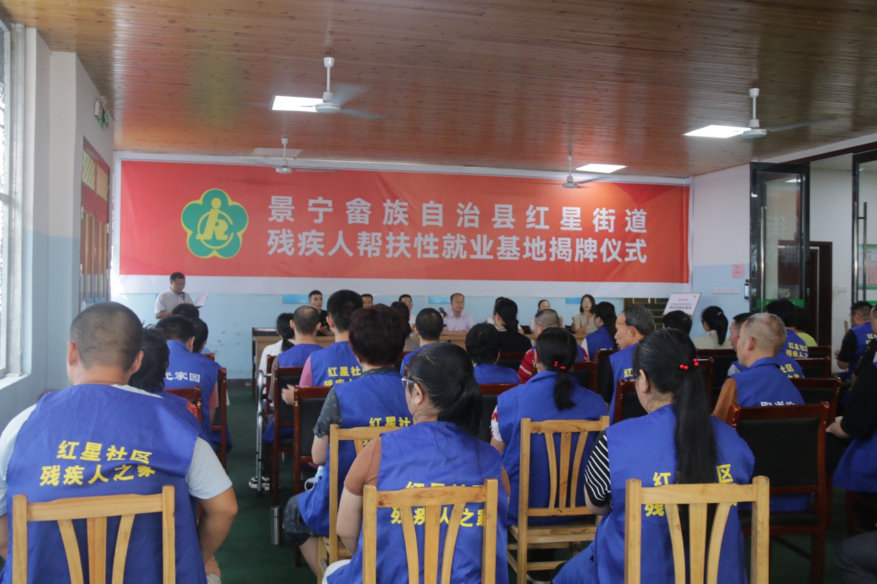 五个一行动：浙江残疾人事业如何引领全国效能大提升？  第3张