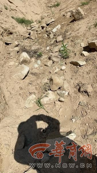 陕北黄土高原惊现龙山文化石城遗址，面积超10万平方米，历史价值惊人  第8张