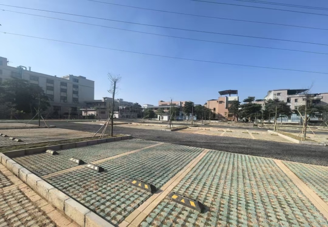 东莞大朗水口村：荒地变生态停车场，201个停车位解决停车难题  第3张