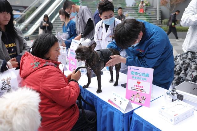 昆山宠物诊疗新风向：A级机构守护爱宠健康，市民信赖有保障  第2张