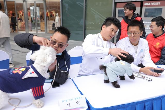 昆山宠物诊疗新风向：A级机构守护爱宠健康，市民信赖有保障  第3张
