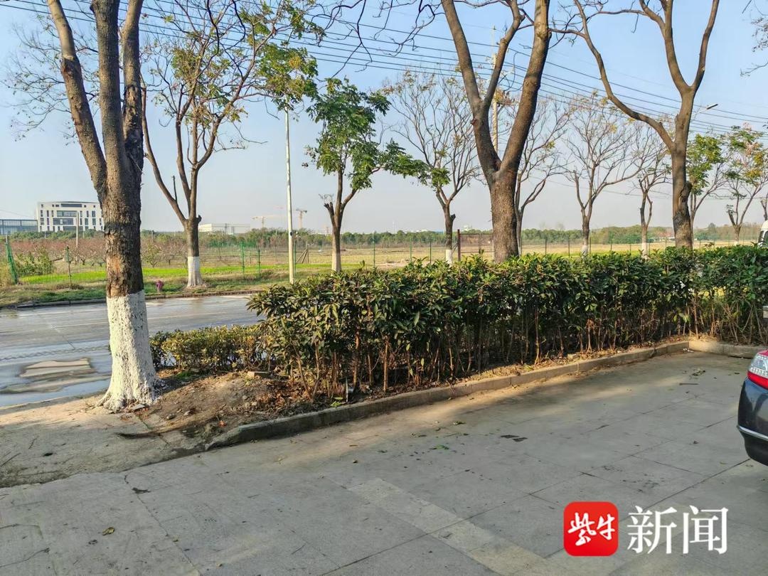 太仓惊现乱堆放危机！商铺拒绝整改，安全隐患一触即发  第3张