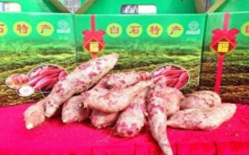 10万斤白石红薯大丰收！甜蜜堆满仓，农民喜洋洋，你尝过了吗？