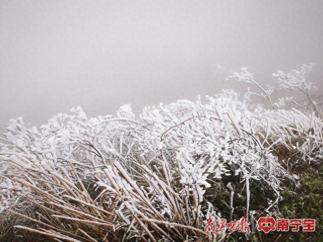 冷空气来袭！南宁大明山或将迎来冰雪奇观，你准备好了吗？