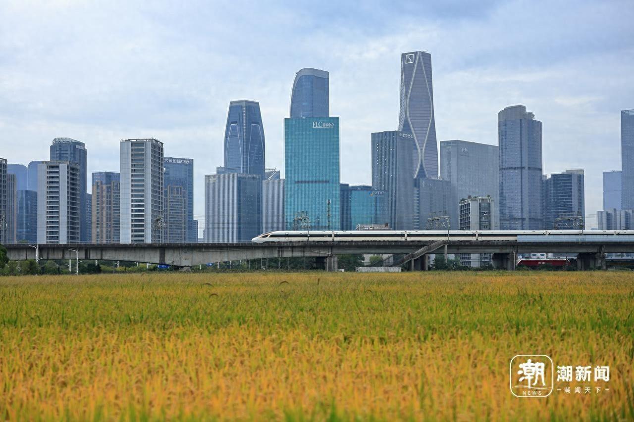 杭州钱江世纪城旁的麦田 CBD，你打卡了吗？