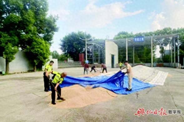 货车司机超限被查，执法人员却帮他抢收小麦，原因竟是……  第1张