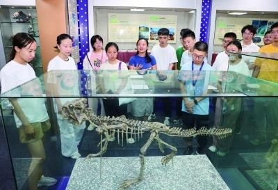 探秘南京高校博物馆：从人民币到指纹，从中医药到珍稀动植物  第7张