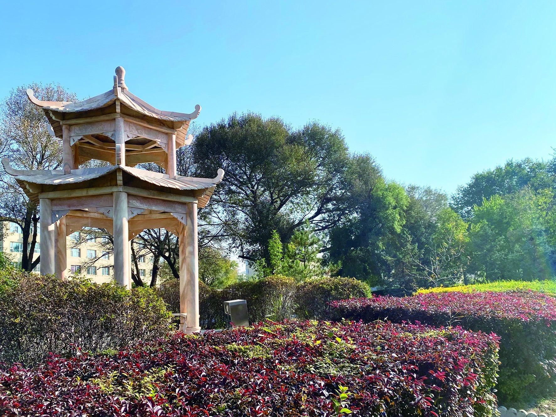 乌兰察布秋景如画，错过再等一年  第2张