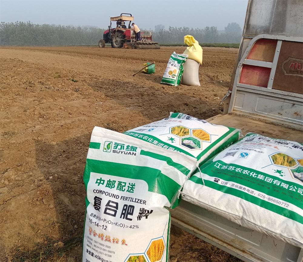 秋种一粒籽，夏收万担粮！东海县双店镇多措并举扎实推进秋播秋种  第4张