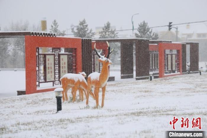 -53℃！中国最北城市今冬首场暴雪来袭，你敢去吗？  第3张