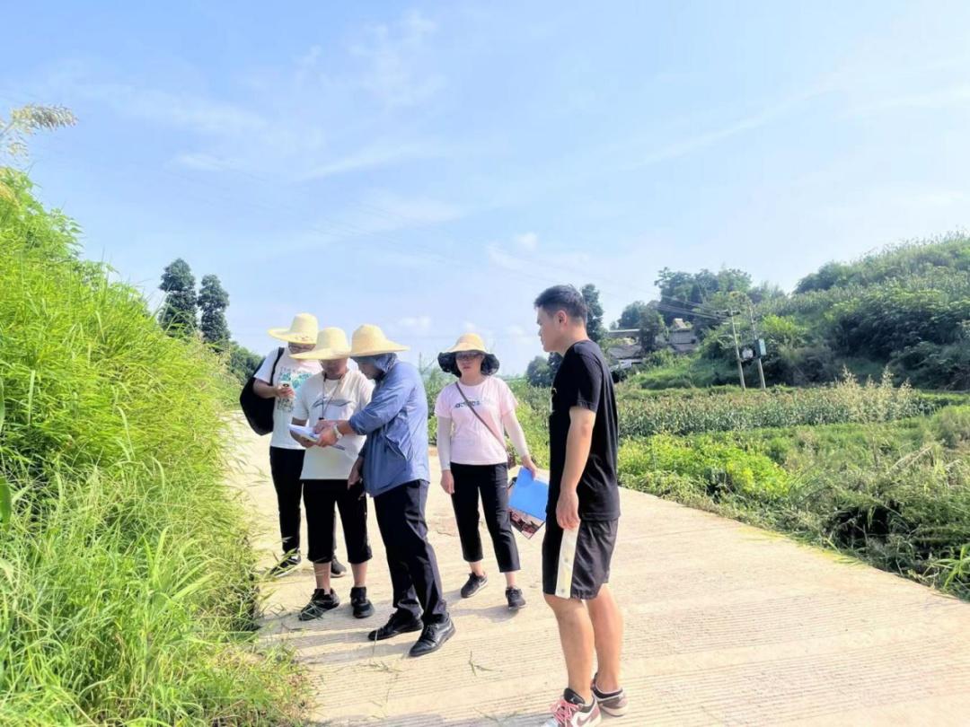 宜宾审计：民生实事成果惠及广大人民群众，你感受到了吗？  第5张