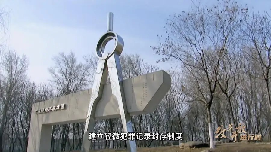 重磅！社科专家带你读懂二十届三中全会精神，完善中国特色社会主义法治体系  第4张