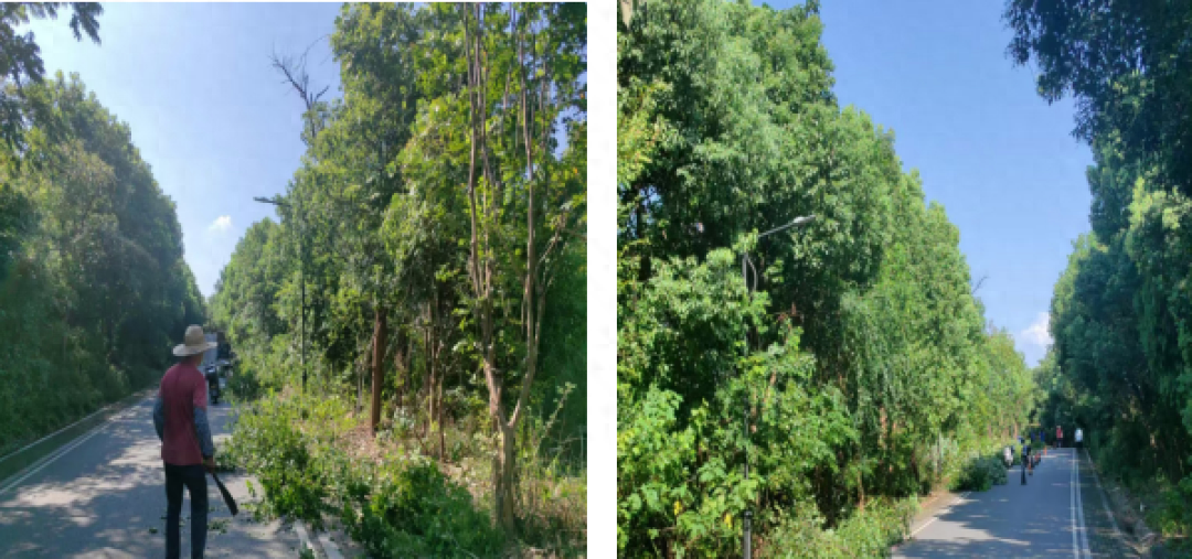 仁皇山街道：精细化管理，打造洁净宜居生活环境  第1张