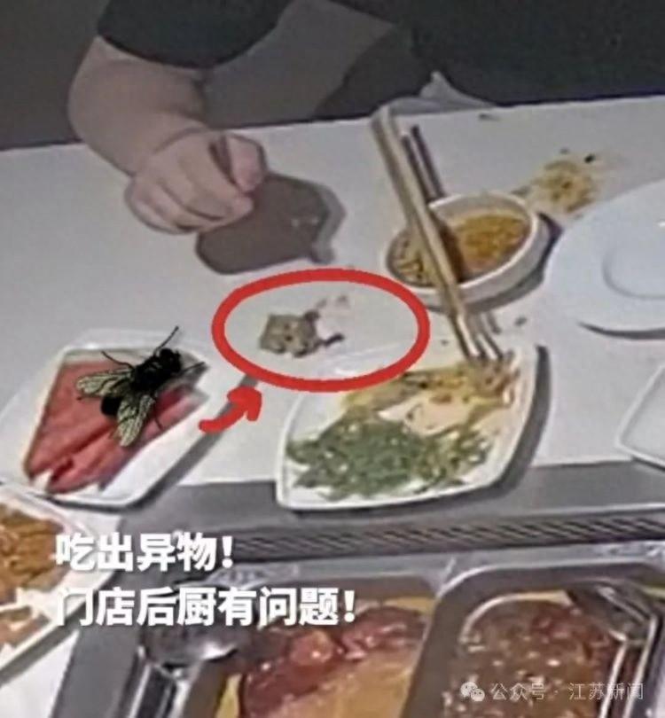 火锅店惊现异虫，顾客索赔，真相竟然是……