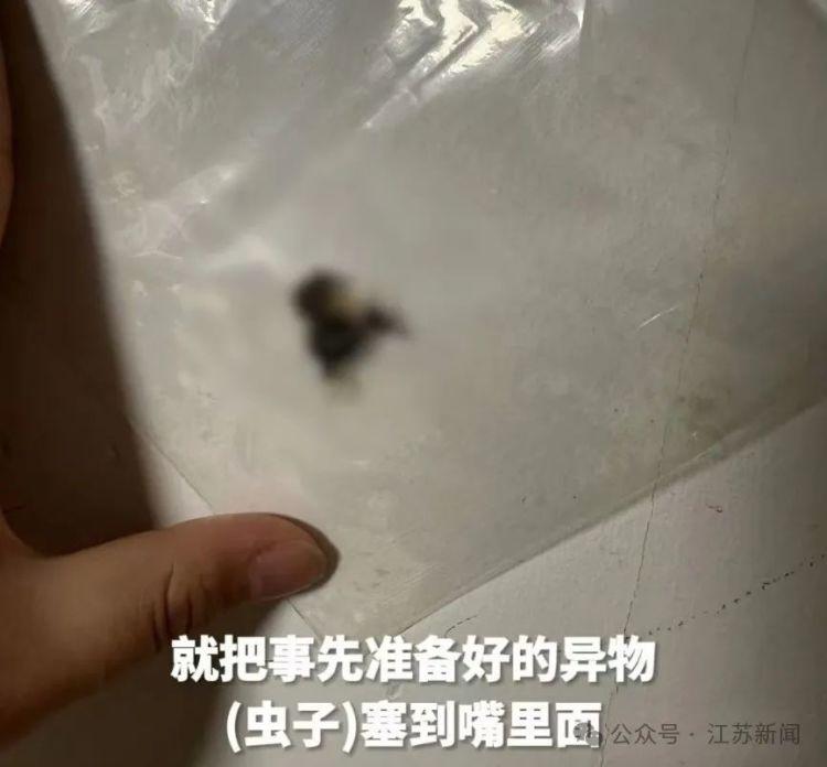火锅店惊现异虫，顾客索赔，真相竟然是……  第2张