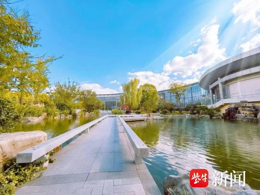 金陵中学河西分校的秋日景象，你绝对没见过  第9张