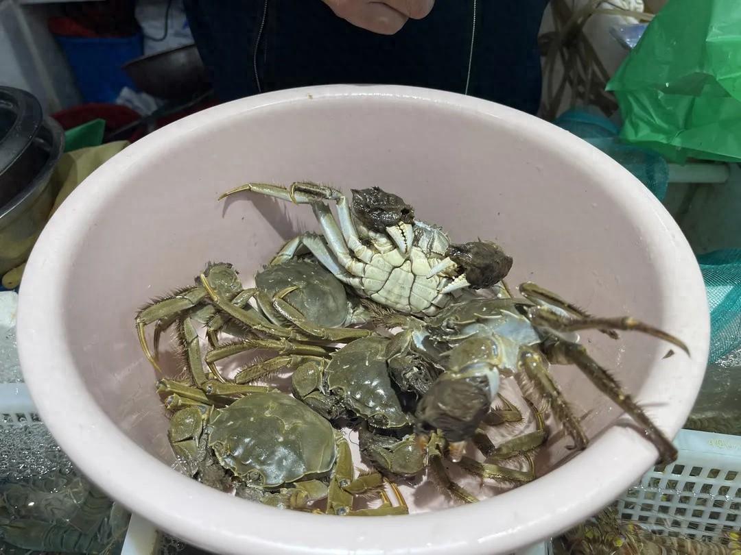 节后杭州大闸蟹价格跳水，你还在等什么？  第1张