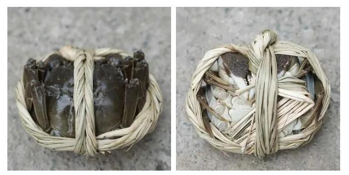 节后杭州大闸蟹价格跳水，你还在等什么？  第3张