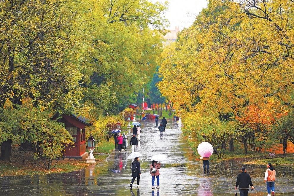 初雪过后，京城迎来入冬首场降雨，你那里下雪了吗？  第1张